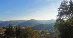 “The Burano lodge”