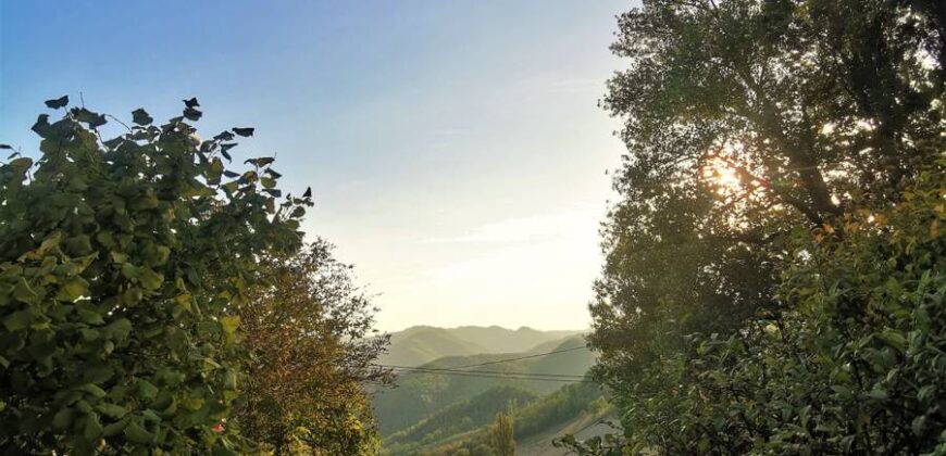 “The Burano lodge”