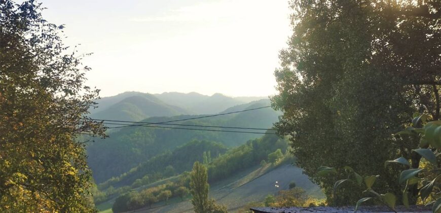 “The Burano lodge”