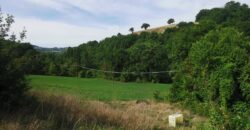 Annex with 2 hectares of land