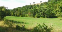 Annex with 2 hectares of land