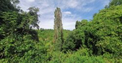 Annex with 2 hectares of land