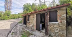 Annex with 2 hectares of land