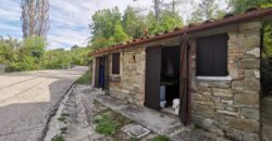 Annex with 2 hectares of land