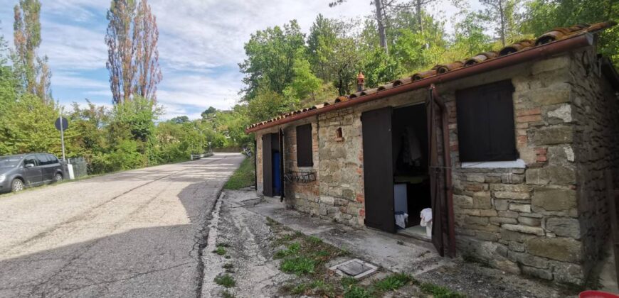 Annex with 2 hectares of land