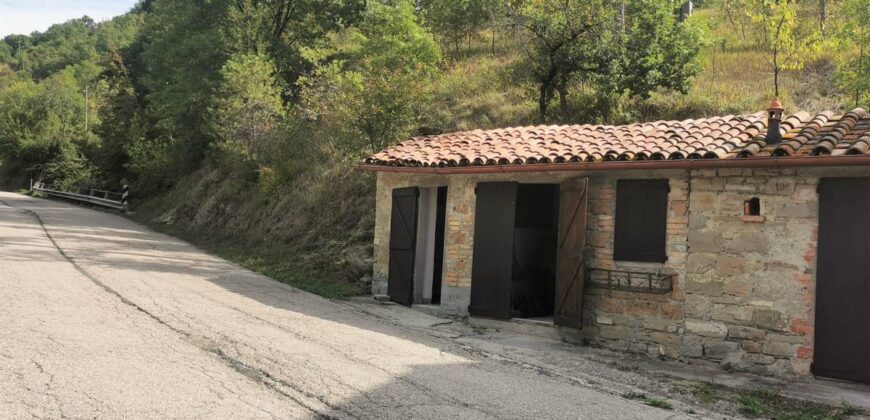 Annex with 2 hectares of land