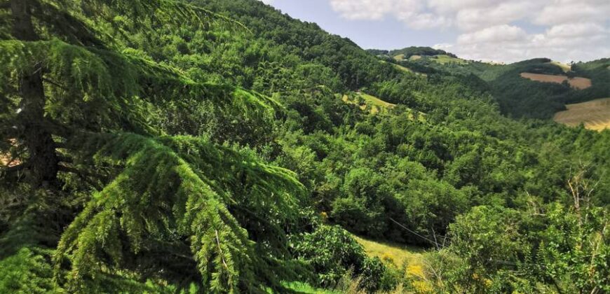 Accommodation structure “The Stone Village”