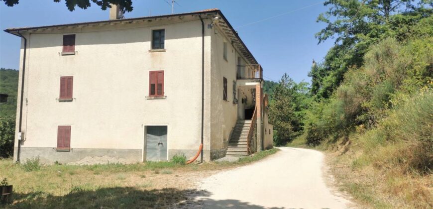 Single house with 4 hectares of land