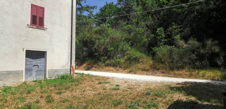 Single house with 4 hectares of land