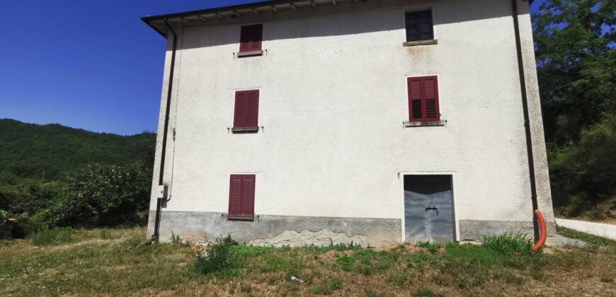 Single house with 4 hectares of land