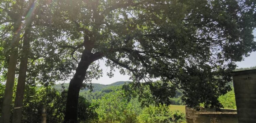 Single house with 4 hectares of land