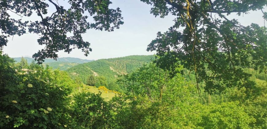 Single house with 4 hectares of land