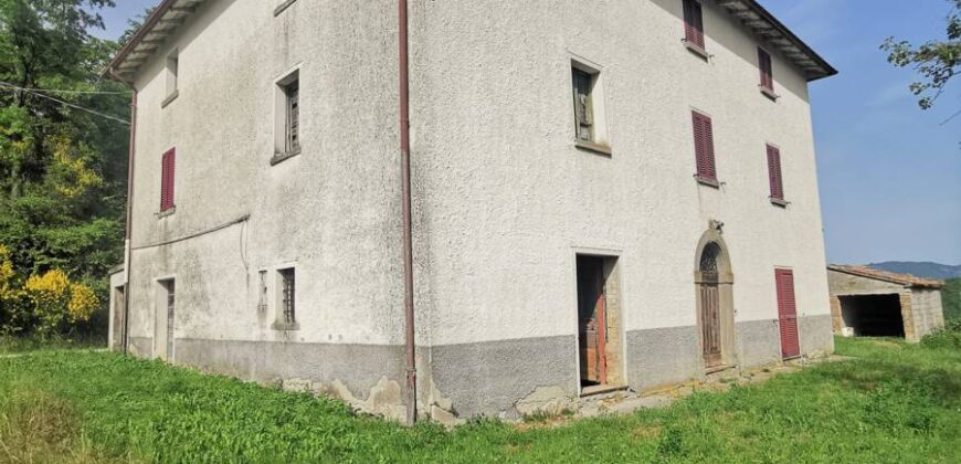 Single house with 4 hectares of land