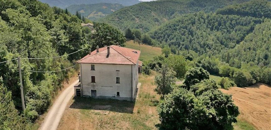 Single house with 4 hectares of land