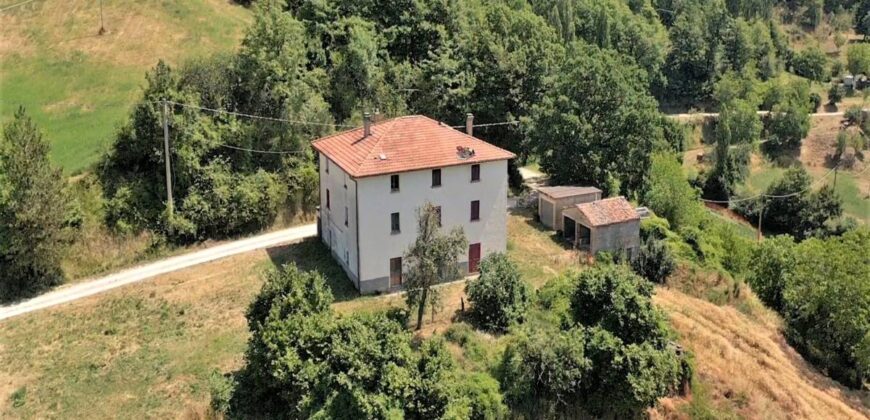 Single house with 4 hectares of land
