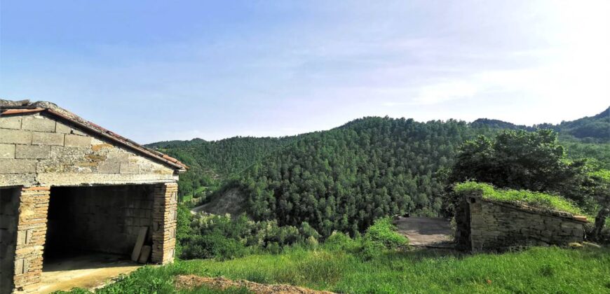 Single house with 4 hectares of land