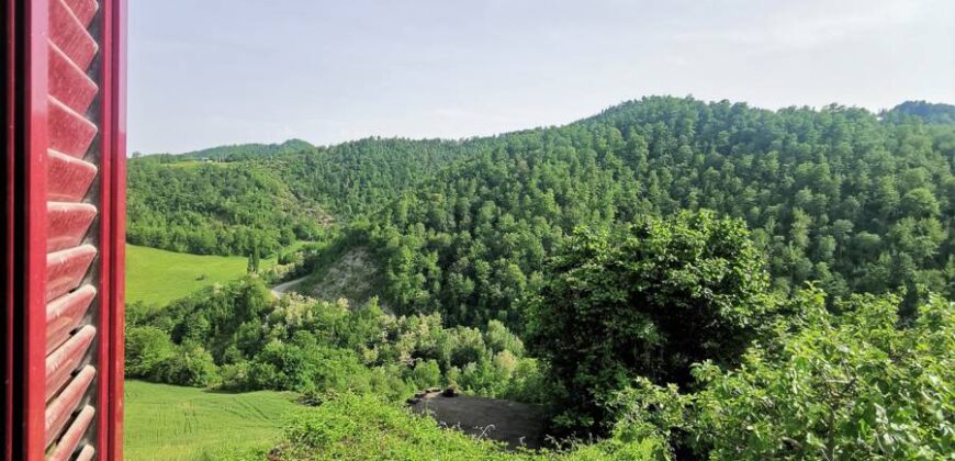 Single house with 4 hectares of land