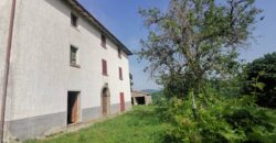 Single house with 4 hectares of land