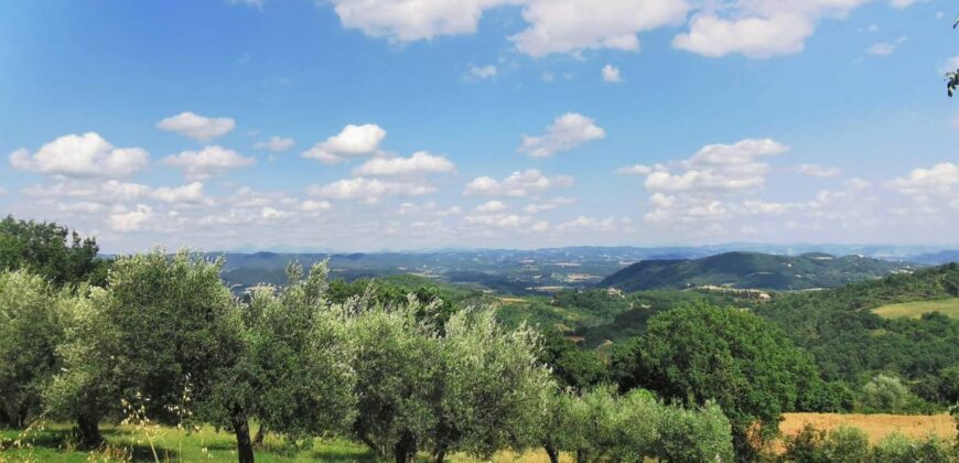 Casa singola in campagna