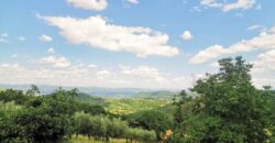 Casa singola in campagna