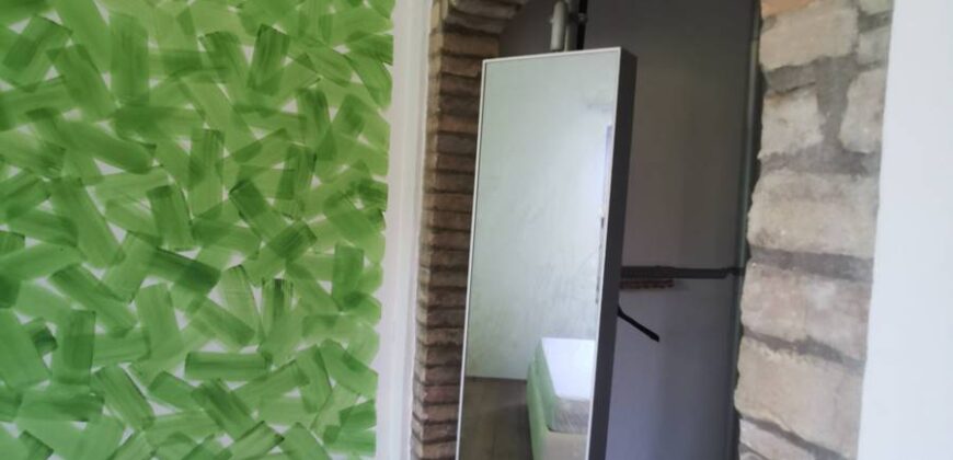 Apartment near the historic center