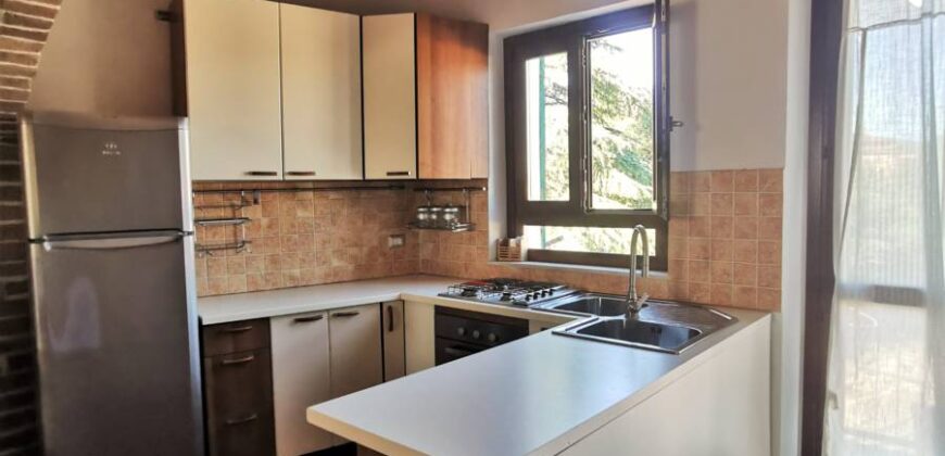 Apartment near the historic center