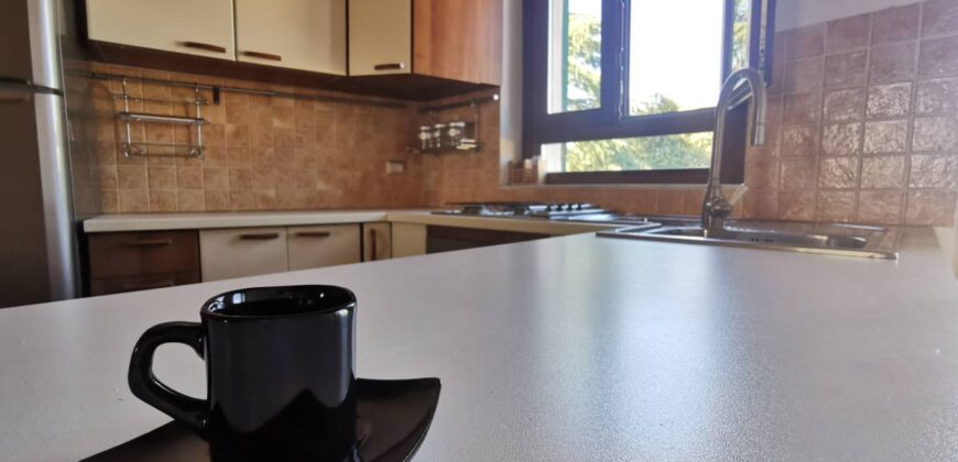 Apartment near the historic center