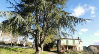 House”Door of Montone”