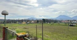 House”Door of Montone”