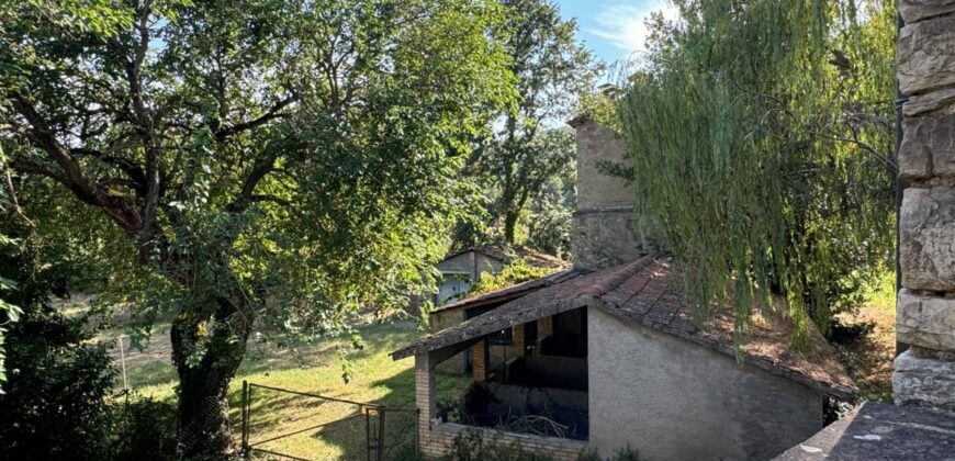 Farmhouse “San Donino”