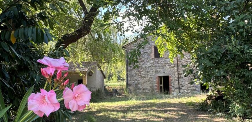 Farmhouse “San Donino”