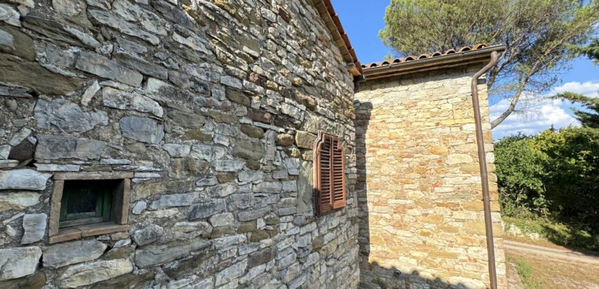 Farmhouse “San Donino”