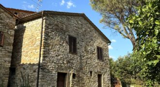 Farmhouse “San Donino”