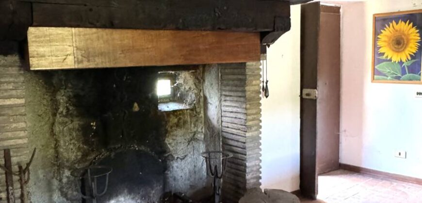 Farmhouse “San Donino”