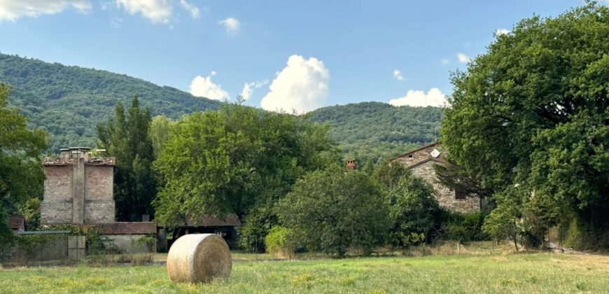 Farmhouse “San Donino”