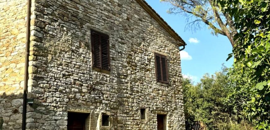 Farmhouse “San Donino”