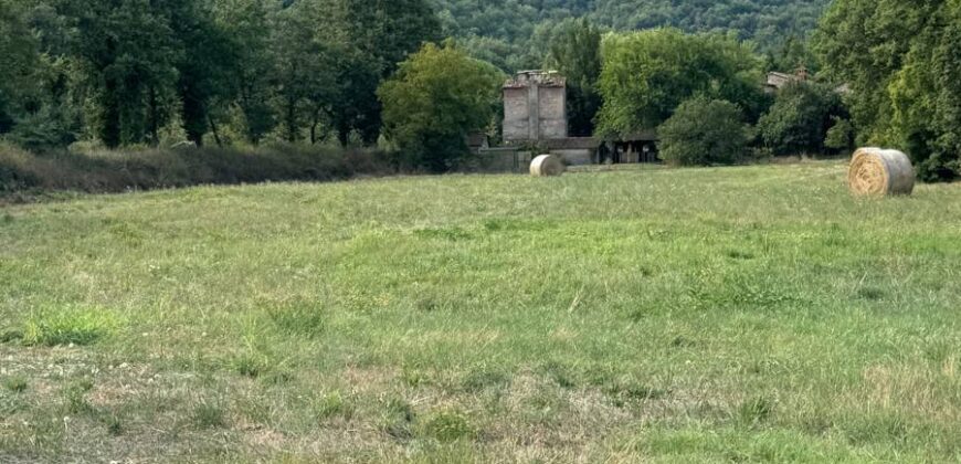 Farmhouse “San Donino”