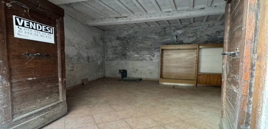 Cellar “Via Alberti”