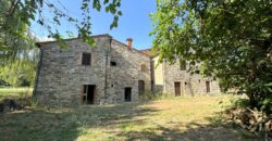 Farmhouse “San Donino”