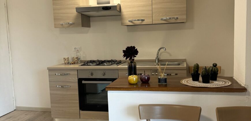 Ground floor apartment with garden