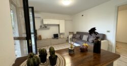 Ground floor apartment with garden