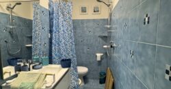 Ground floor apartment with garden