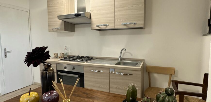 Ground floor apartment with garden