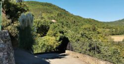 Sky-earth “Jewel”