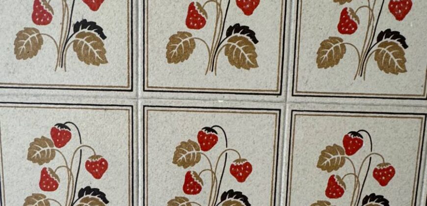 Sky-earth “Jewel”