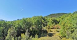 Sky-earth “Jewel”