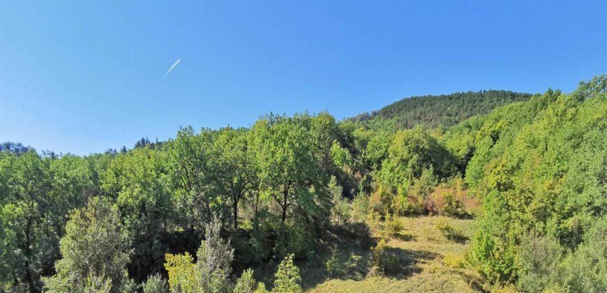 Sky-earth “Jewel”