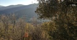 Casale “Pietra Viva”