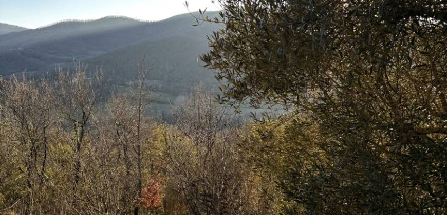 Casale “Pietra Viva”