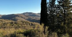 Casale “Pietra Viva”